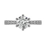 Ring 037