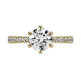 Ring 037