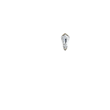 Earring 023