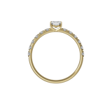 Ring 003