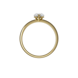 Ring 010