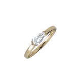 Ring 038
