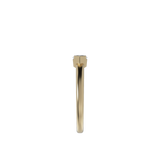Ring 038