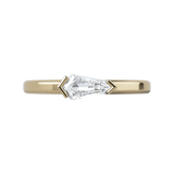 Ring 038