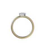 Ring 039