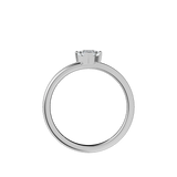 Ring 039