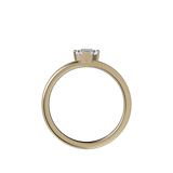 Ring 039