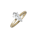 Ring 039