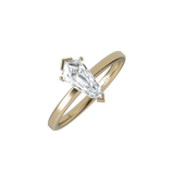 Ring 039