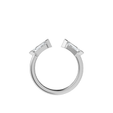 Ring 043