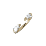 Ring 043