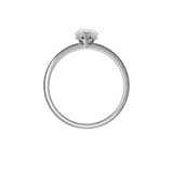 Ring 010